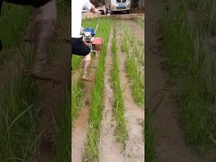 Weeder da Multi-função